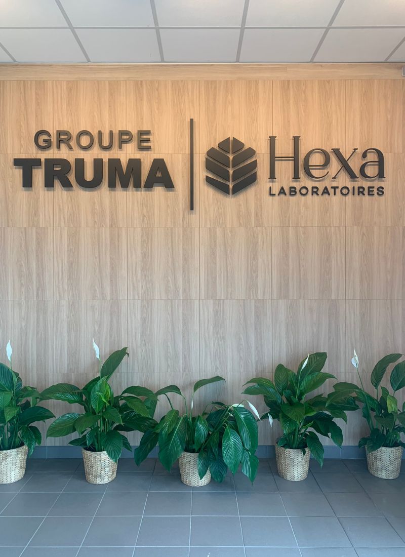 groupe truma